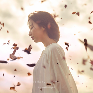 欧美日韩激情视频在线播放
