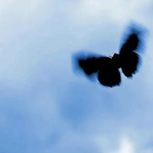 欧美日韩激情视频在线播放
