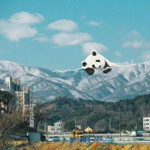 欧美日韩激情视频在线播放
